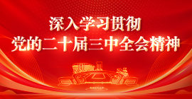 學(xué)習(xí)貫徹黨的二十屆三中全會精神